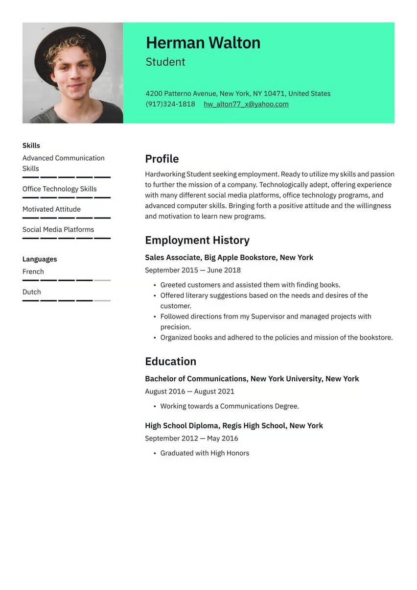 Previsualización de CV